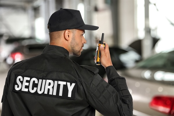 Rayas Protection Services Security